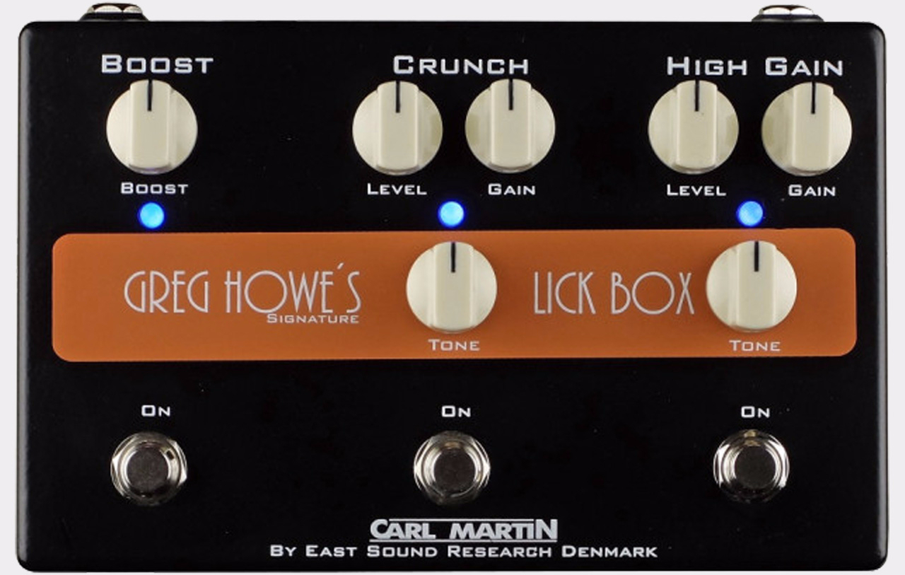得価品質保証CARL MARTIN Lick Box ギター